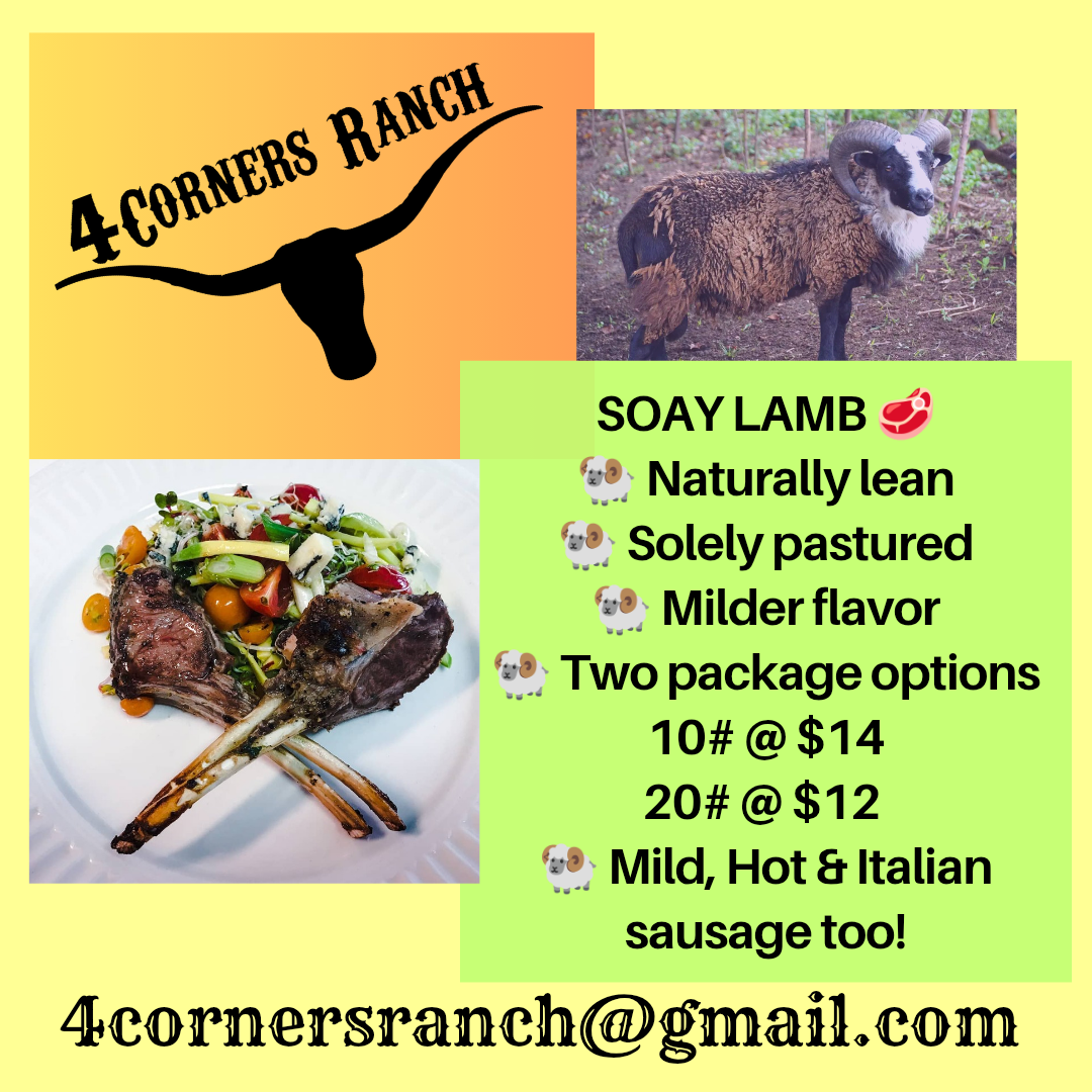 100% Pastured Lamb - Now Available at 4 Corners Ranch